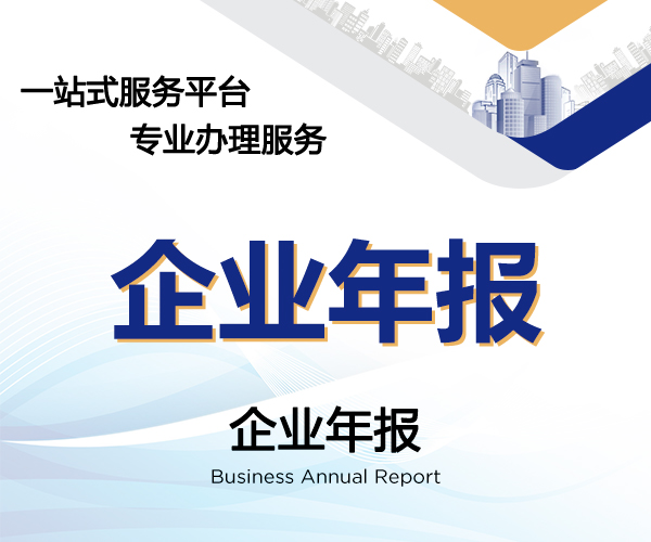 企业年报
